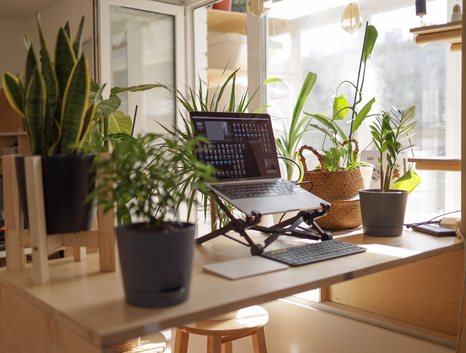 Work From Home กับการดูแลจิตใจสำหรับวัยทำงาน